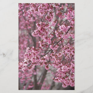 Sakura Cherry Blossoms Flowing Pink Stationery