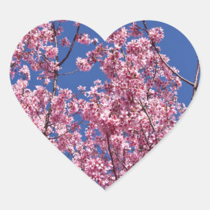Sakura Cherry Blossoms Into The Blue Heart Sticker