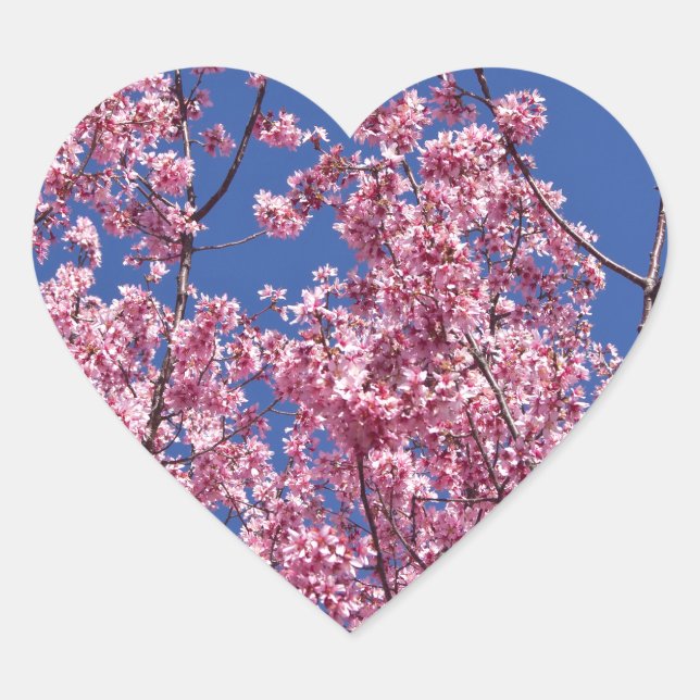 Sakura Cherry Blossoms Into The Blue Heart Sticker (Front)