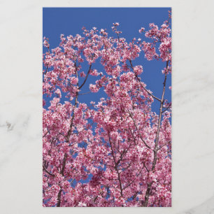 Sakura Cherry Blossoms Into The Blue Stationery