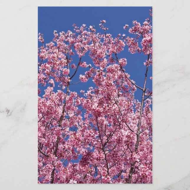 Sakura Cherry Blossoms Into The Blue Stationery (Front)