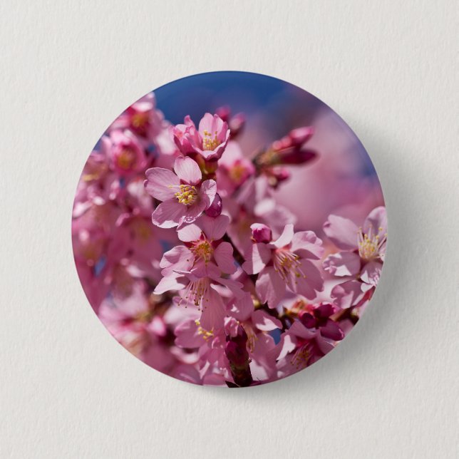 Sakura Cherry Blossoms Kissed by Sunlight 6 Cm Round Badge (Front)