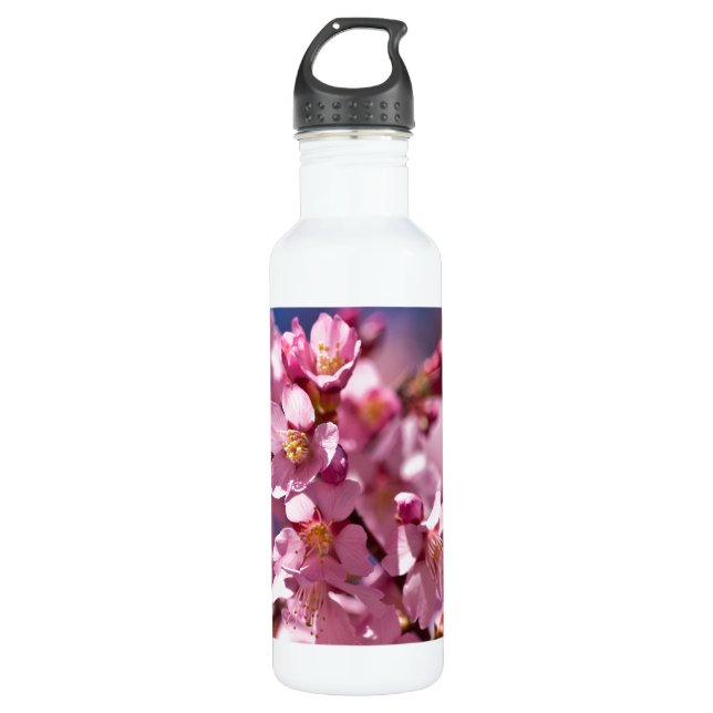 Sakura Cherry Blossoms Kissed by Sunlight 710 Ml Water Bottle (Front)