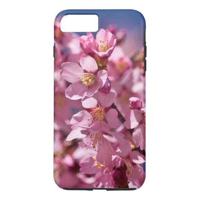 Sakura Cherry Blossoms Kissed by Sunlight Case-Mate iPhone Case (Back)