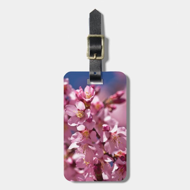 Sakura Cherry Blossoms Kissed by Sunlight Luggage Tag (Front Vertical)