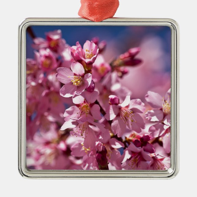 Sakura Cherry Blossoms Kissed by Sunlight Metal Tree Decoration (Front)