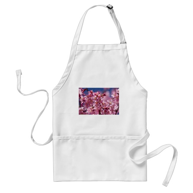 Sakura Cherry Blossoms Kissed by Sunlight Standard Apron (Front)