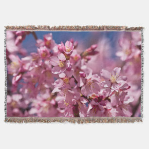 Sakura Cherry Blossoms Kissed By Sunlight Throw Blanket