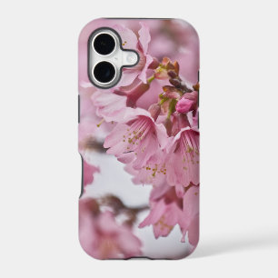 Sakura Cherry Blossoms Pale Pink