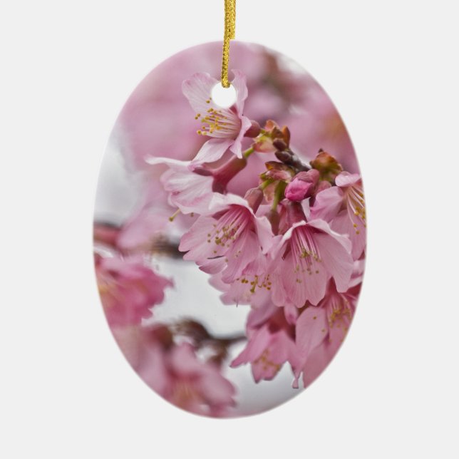 Sakura Cherry Blossoms Pale Pink Ceramic Tree Decoration (Front)