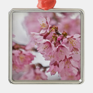 Sakura Cherry Blossoms Pale Pink Metal Tree Decoration