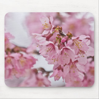 Sakura Cherry Blossoms Pale Pink Mouse Mat