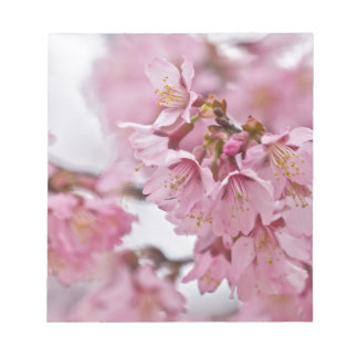 Sakura Cherry Blossoms Pale Pink Notepad