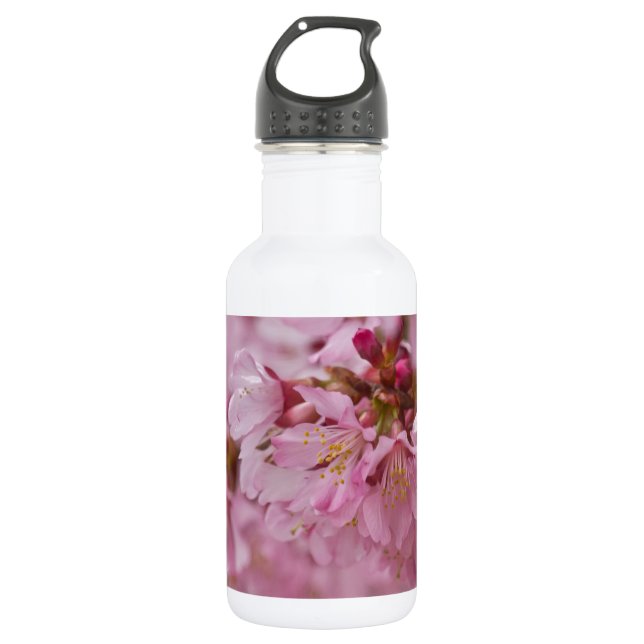 Sakura Cherry Blossoms Pale Pink Reflections 532 Ml Water Bottle (Front)