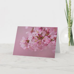 Sakura Cherry Blossoms Pale Pink Reflections Card