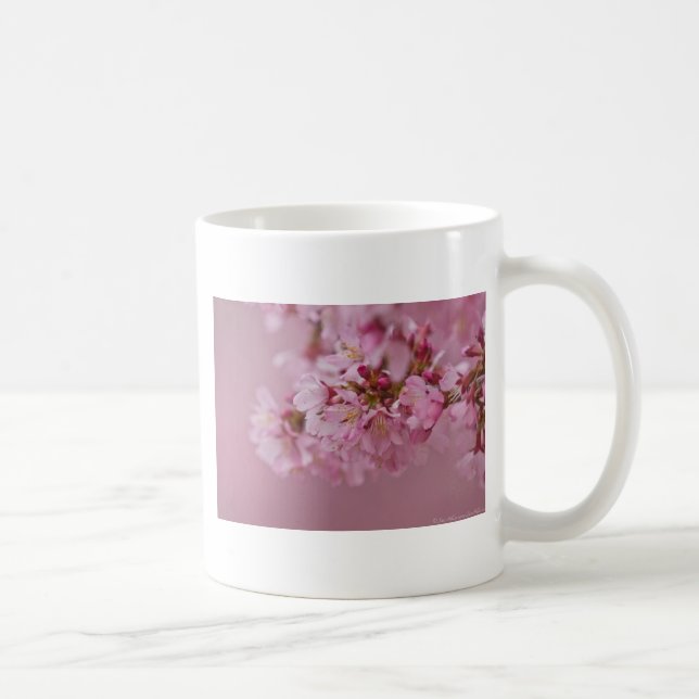 Sakura Cherry Blossoms Pale Pink Reflections Coffee Mug (Right)