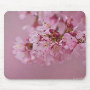 Sakura Cherry Blossoms Pale Pink Reflections Mouse Mat
