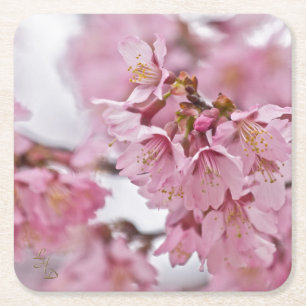 Sakura Cherry Blossoms Pale Pink Square Paper Coaster