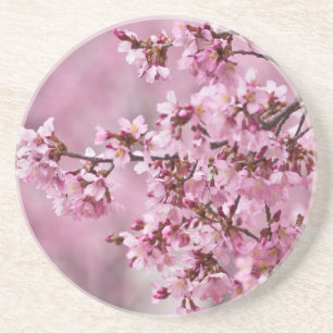 Sakura Cherry Blossoms Pastel Pink Layers Coaster