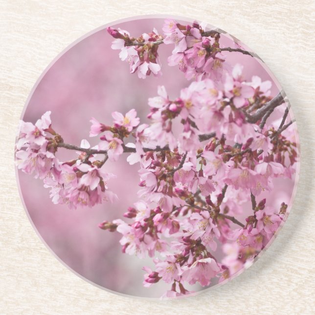Sakura Cherry Blossoms Pastel Pink Layers Coaster (Front)