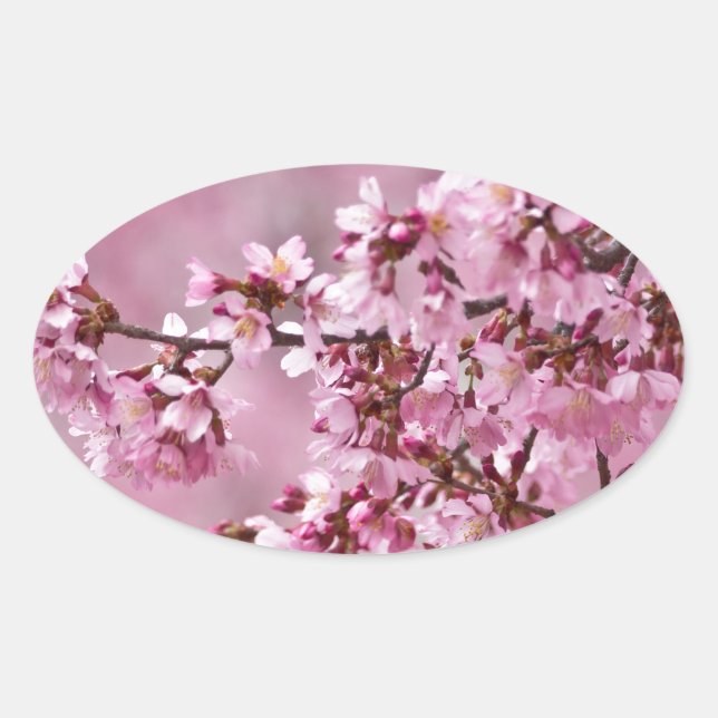 Sakura Cherry Blossoms Pastel Pink Layers Oval Sticker (Front)