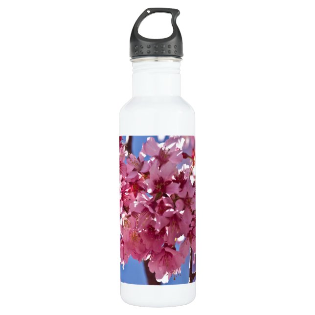 Sakura Cherry Blossoms Red Stars 710 Ml Water Bottle (Front)