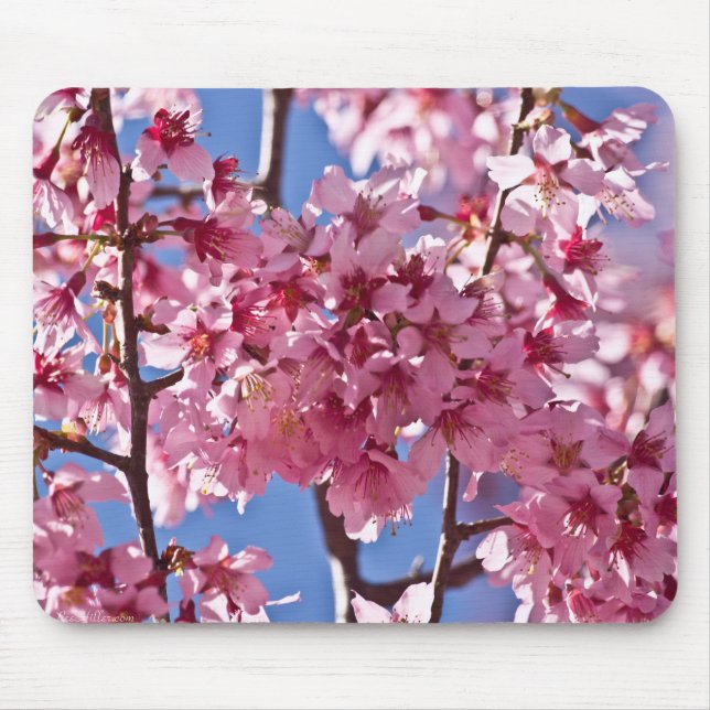 Sakura Cherry Blossoms Red Stars Mouse Mat (Front)