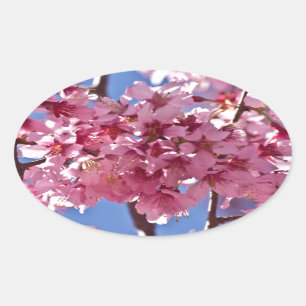 Sakura Cherry Blossoms Red Stars Oval Sticker