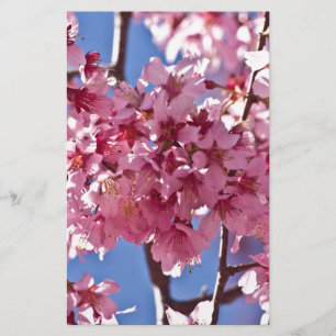 Sakura Cherry Blossoms Red Stars Stationery