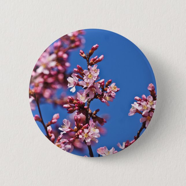 Sakura Cherry Blossoms Touching Blue 6 Cm Round Badge (Front)