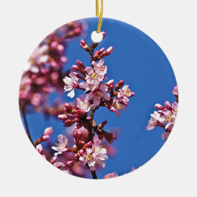 Sakura Cherry Blossoms Touching Blue Ceramic Tree Decoration (Front)