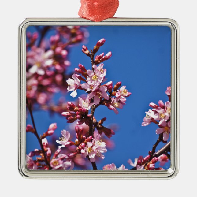 Sakura Cherry Blossoms Touching Blue Metal Tree Decoration (Front)