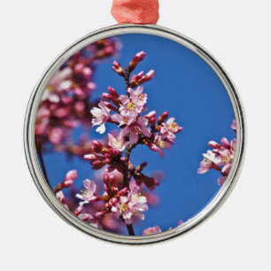 Sakura Cherry Blossoms Touching Blue Metal Tree Decoration
