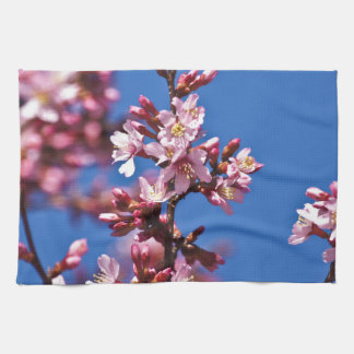 Sakura Cherry Blossoms Touching Blue Tea Towel