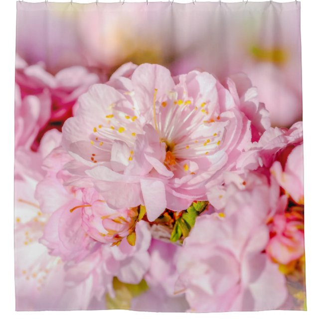 Sakura Cherry FLower - Wedding Bouquet Shower Curtain (Front)