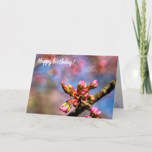 Sakura Cherry Tree Buds. The Beginning Of Spring Card
