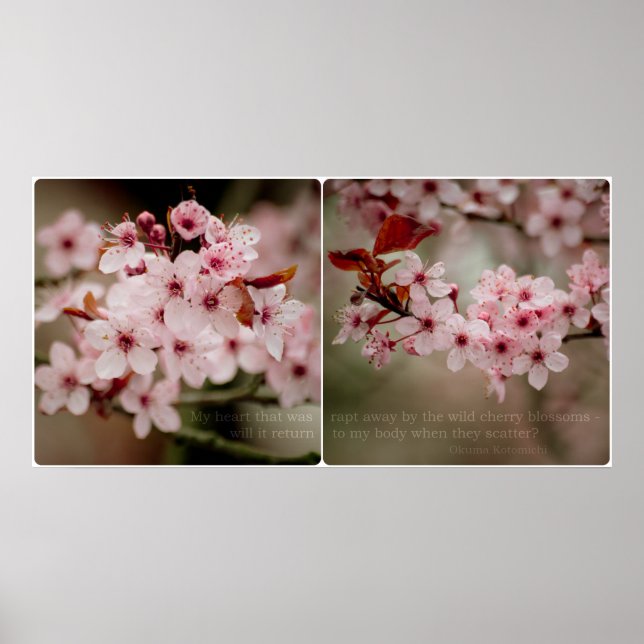 Sakura Diptych Poster (Front)