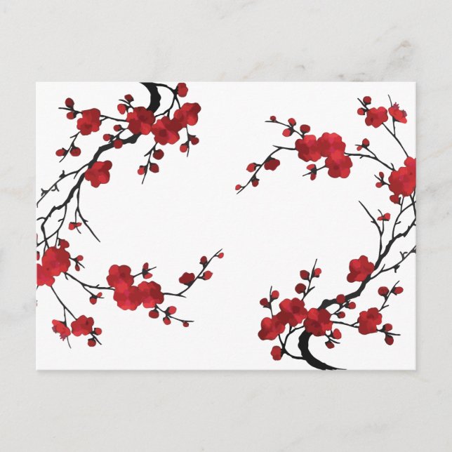Sakura flower blooming  holiday postcard (Front)