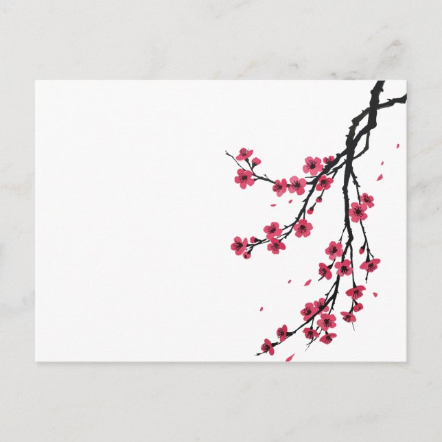 Sakura flower blooming  holiday postcard (Front)