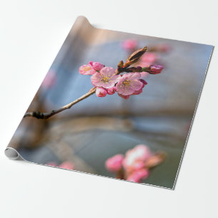 Sakura Flowers Against The Grey Background Wrapping Paper