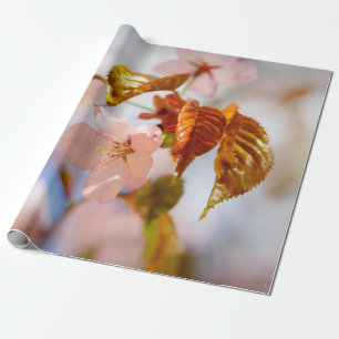 Sakura Flowers And Orange Leaves Wrapping Paper
