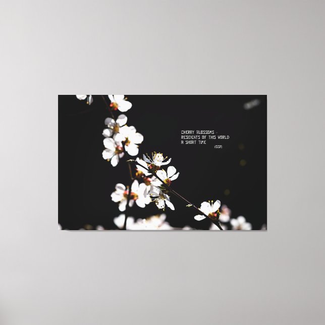 Sakura flowers canvas print (Front)
