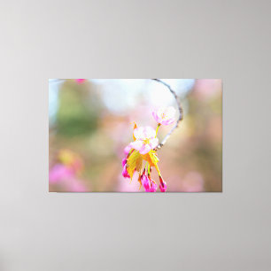 Sakura Flowers On A Tip Of The Twig. Time Helix Canvas Print