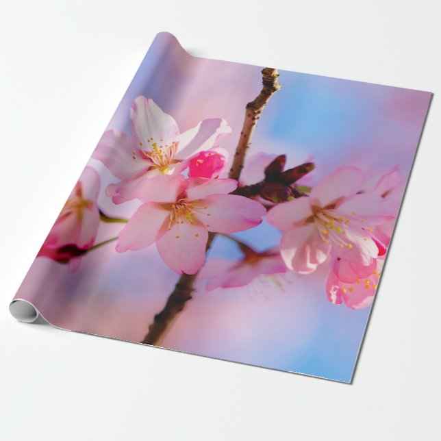 Sakura Flowers On A Vertical Twig Wrapping Paper (Unrolled)