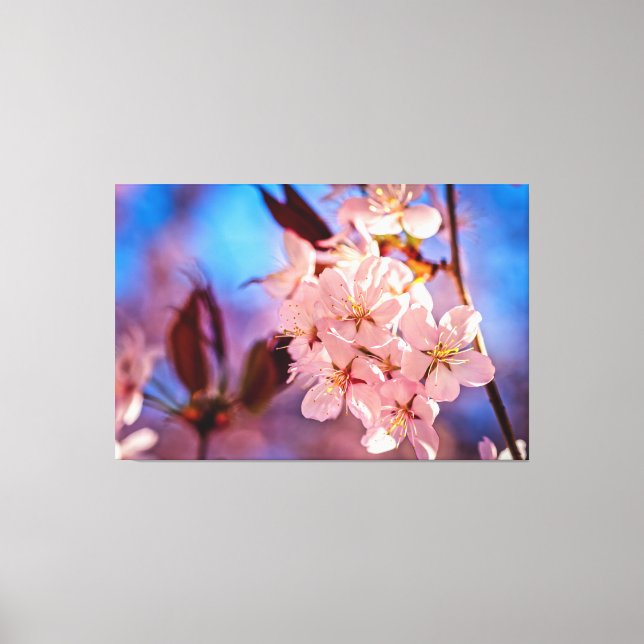 Sakura In The Tree Shade Canvas Print (Front)