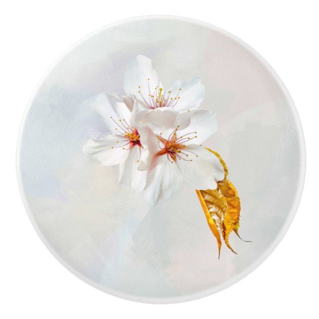 Sakura - Japanese cherry blossom Ceramic Knob (Front)