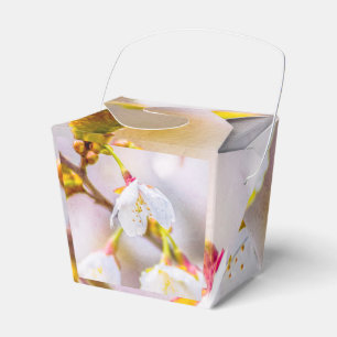 Sakura - Japanese Cherry Blossom Favour Box