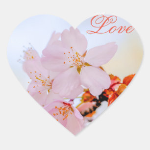 Sakura - Japanese cherry blossom Heart Sticker