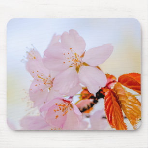 Sakura - Japanese cherry blossom Mouse Mat