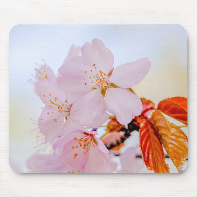 Sakura - Japanese cherry blossom Mouse Mat (Front)